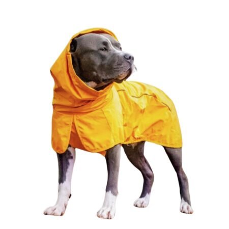 Reflective All-Weather Dog Raincoat