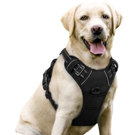 No Pull Dog Harness with 2 Leash Clips – Adjustable Reflective Pet Harness for Small Medium Large Dogs (Soft Padded, Easy Control)