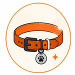 Dog Accessories